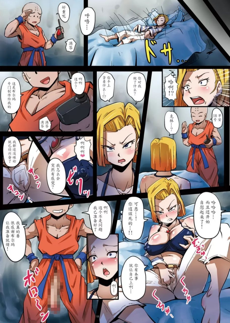 18号性奴隶计划 第12页