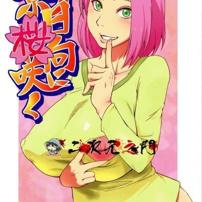 影日向樱花绽放