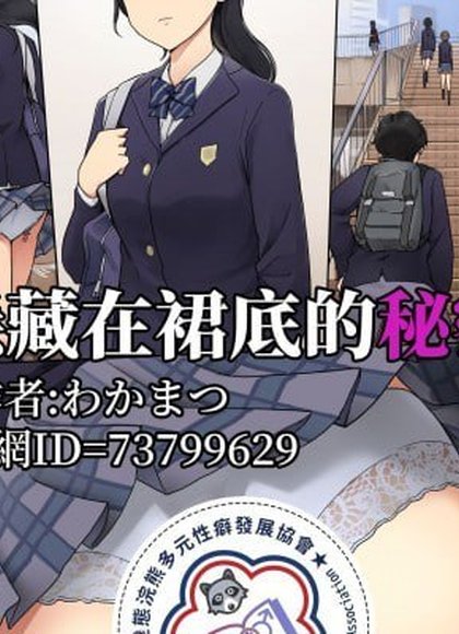 裙子中隐藏的秘密