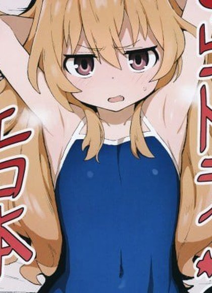 龙与虎的色情本