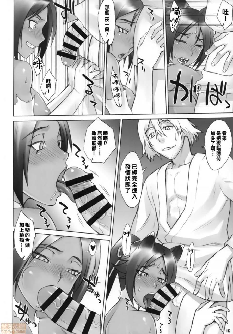 夜猫子的瞬闪雷兽以下略 第15页