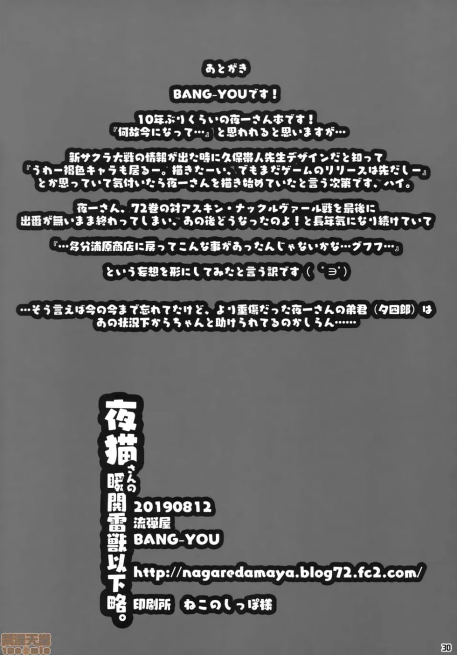 夜猫子的瞬闪雷兽以下略 第29页