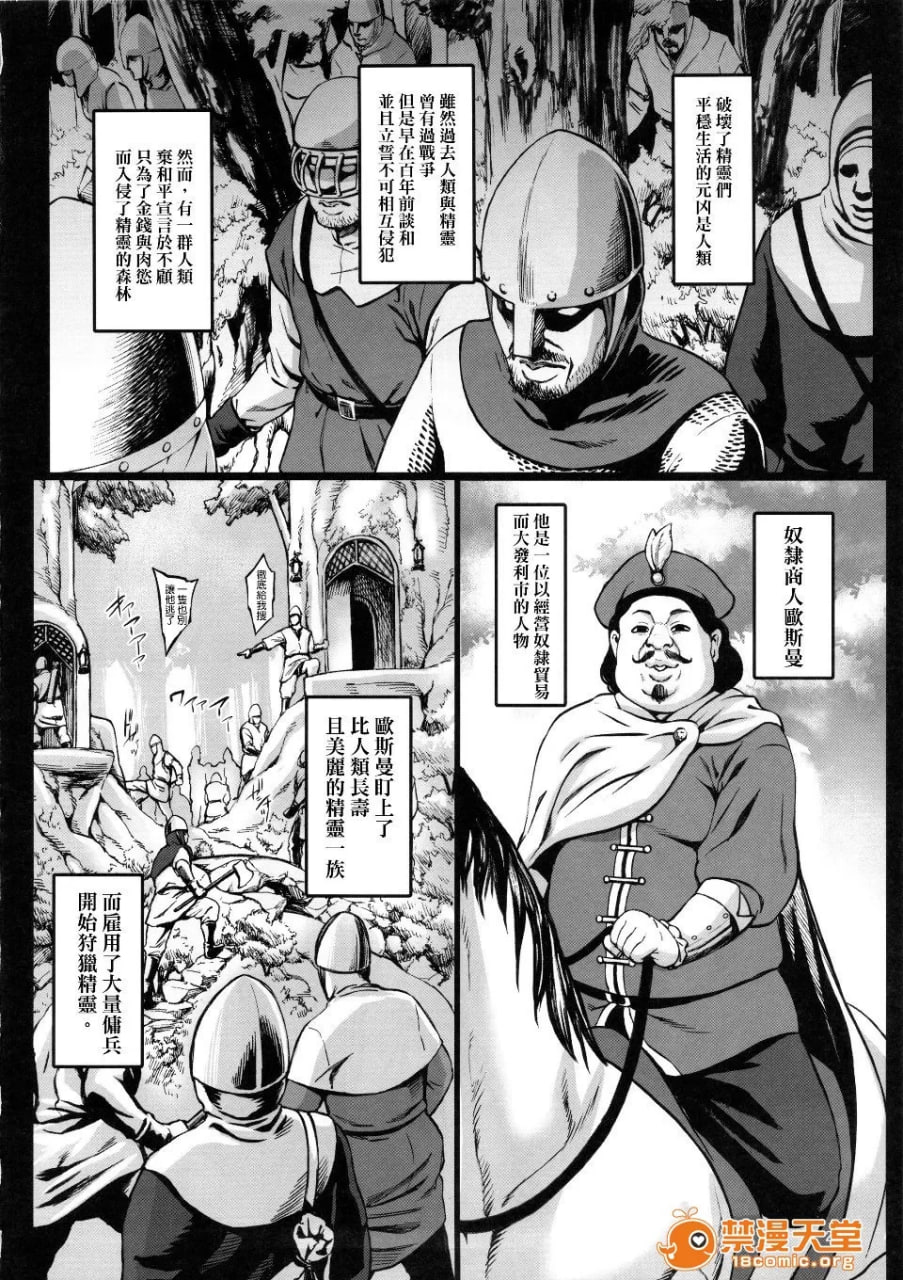 丰饶的隶属精灵 第3页