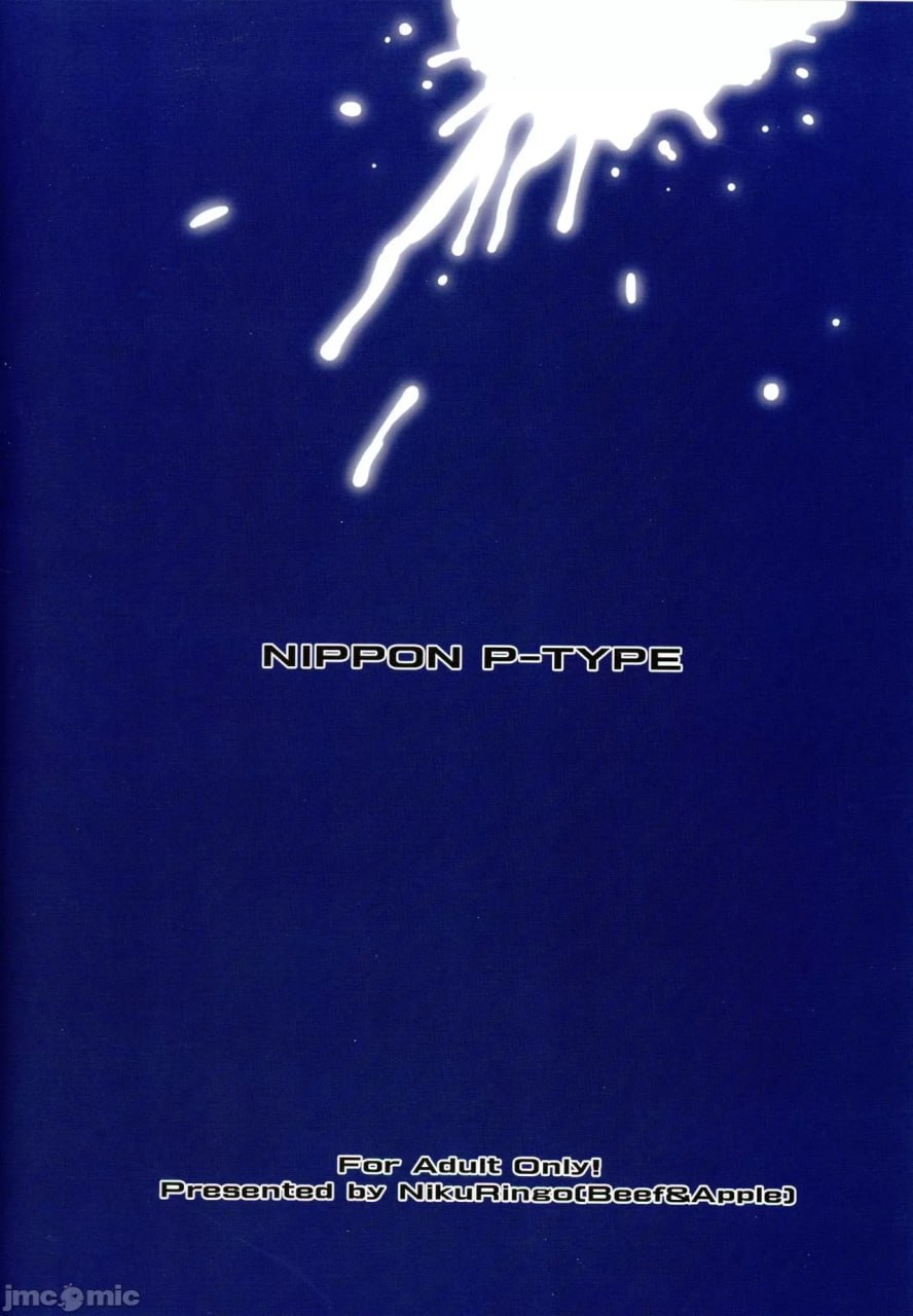 日本P型 第2页