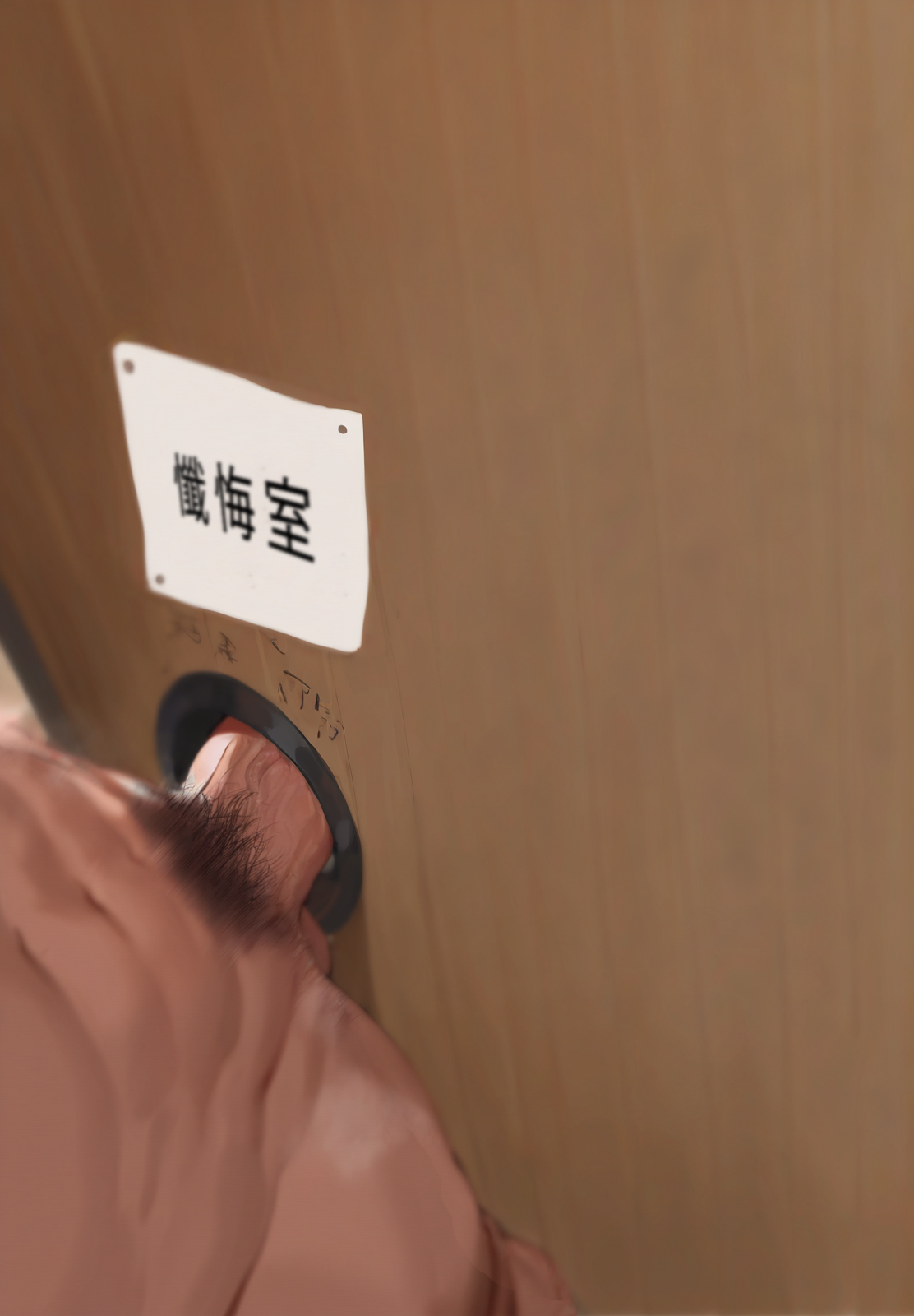 阿波尼亚 第256页