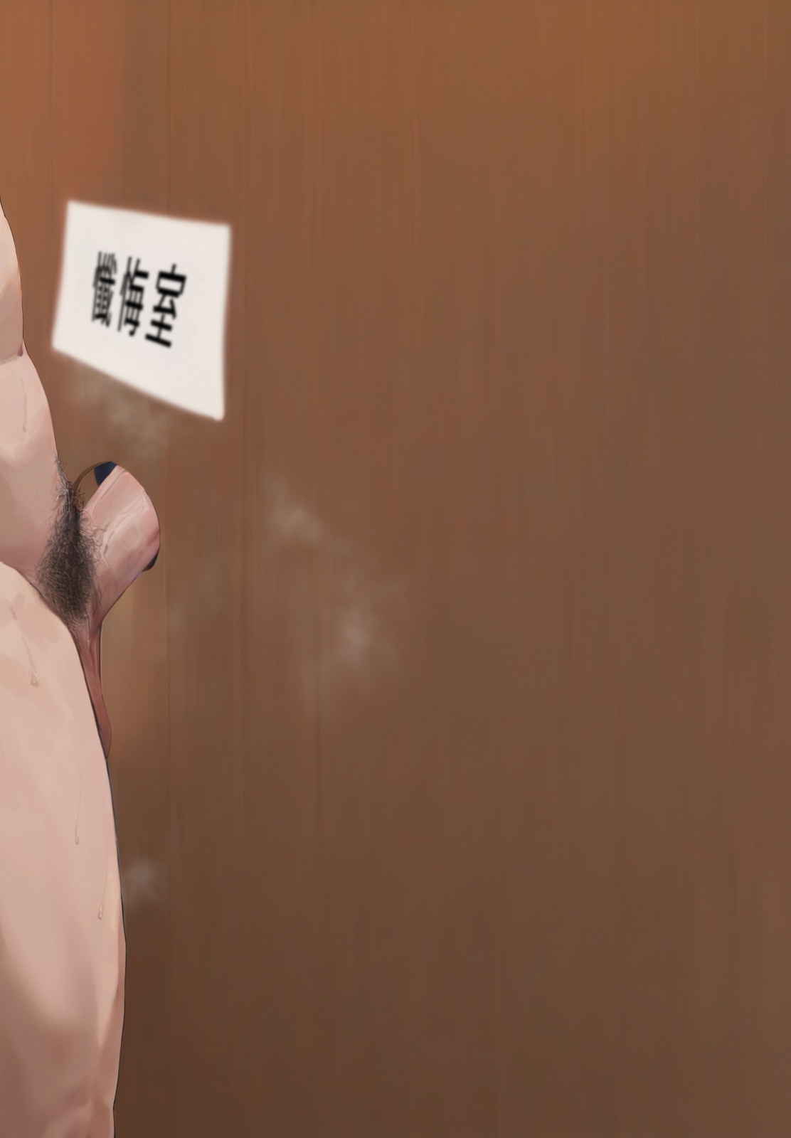 阿波尼亚 第262页