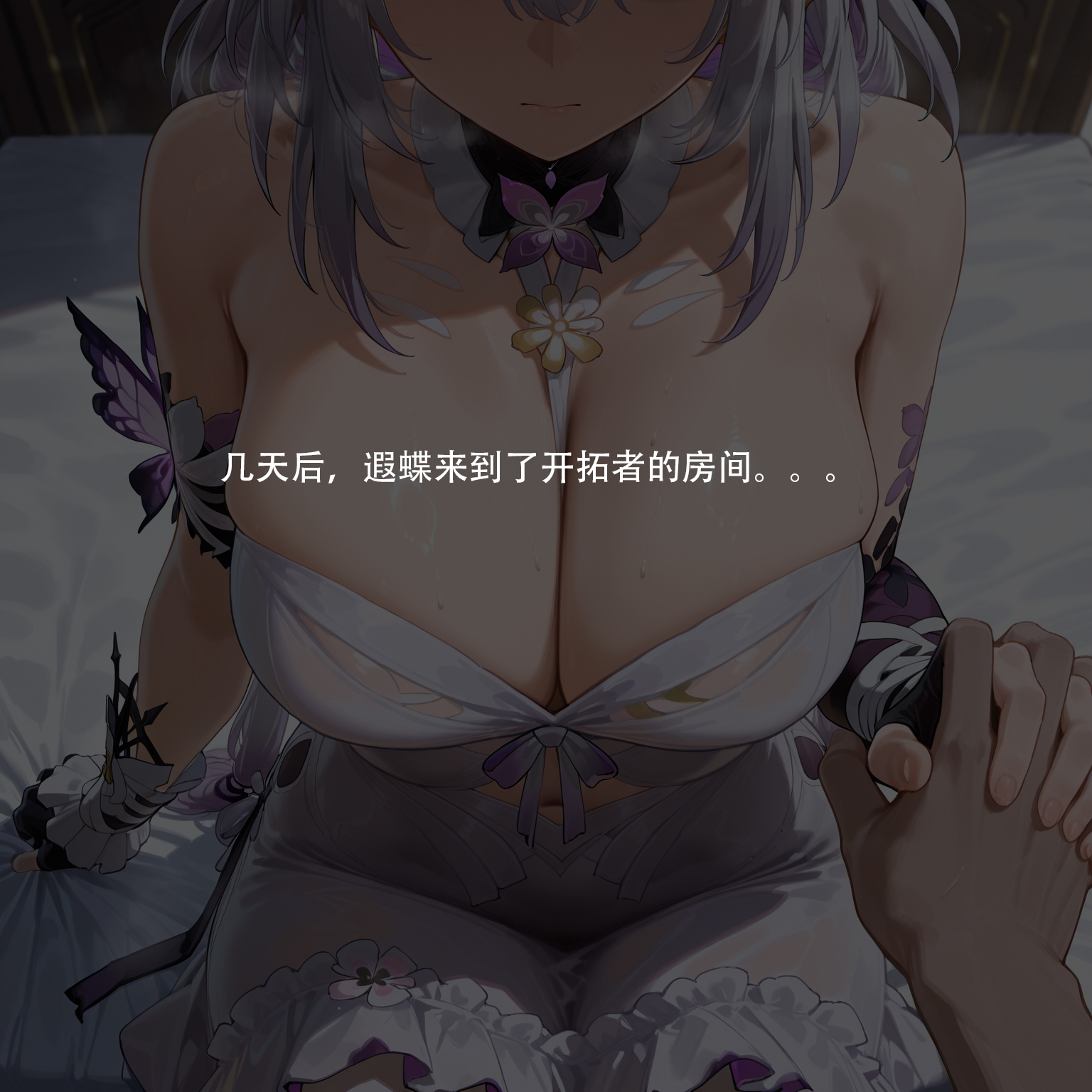 卡斯特里斯QOS 第34页
