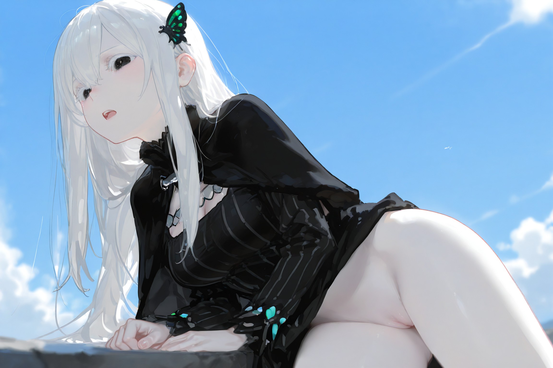 艾姬多娜 第5页
