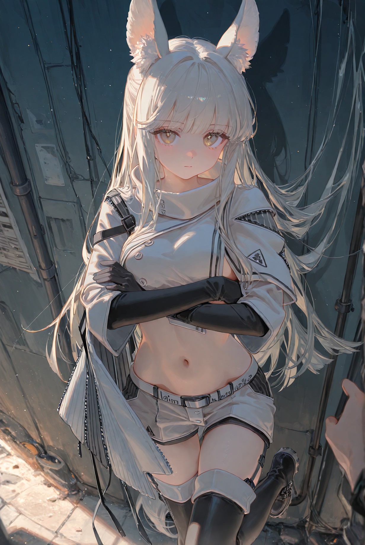 白金 第2页