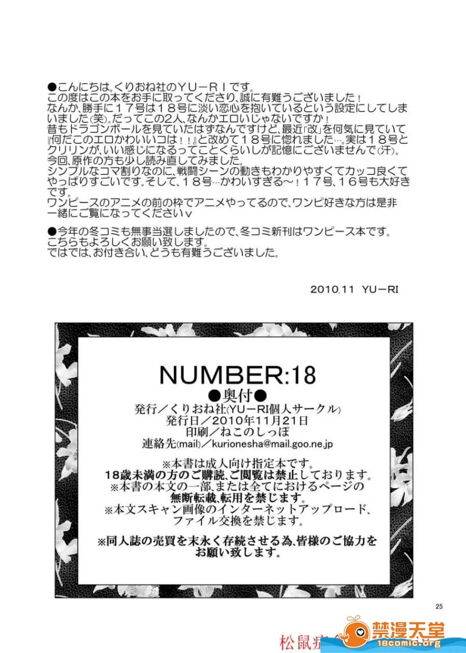 人造人18号 第25页