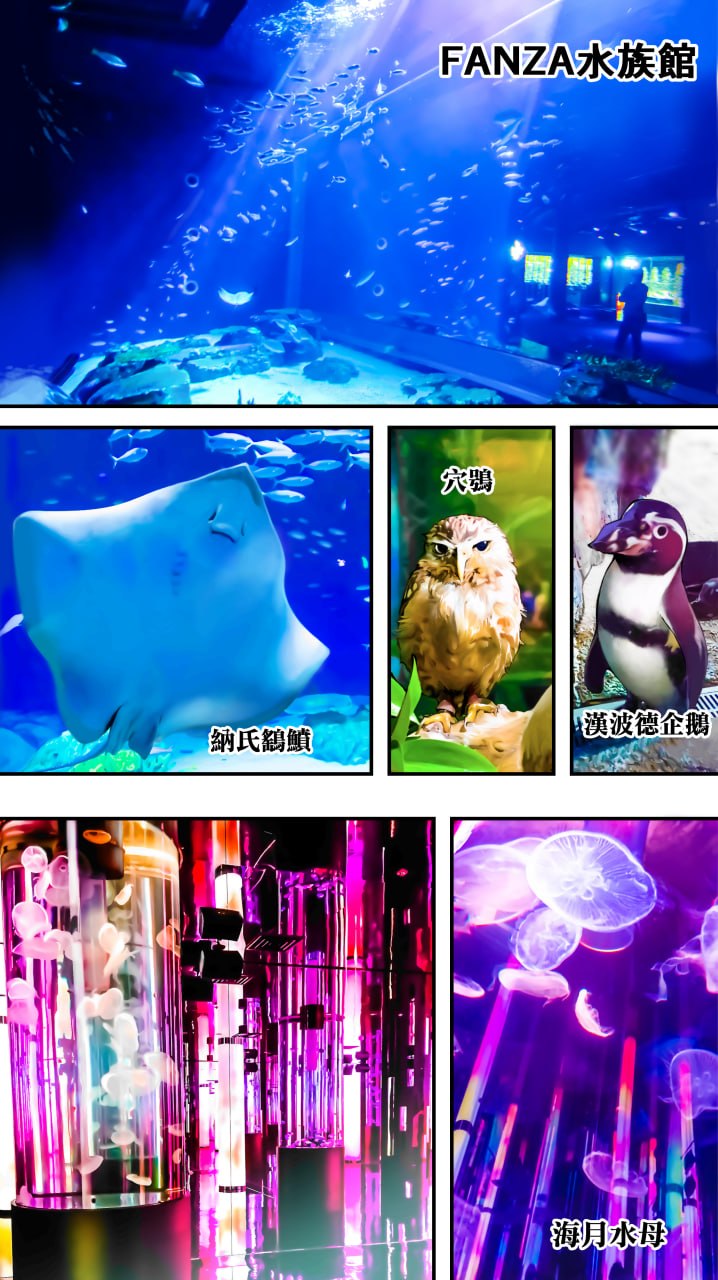 饭犯旅行者 第172页