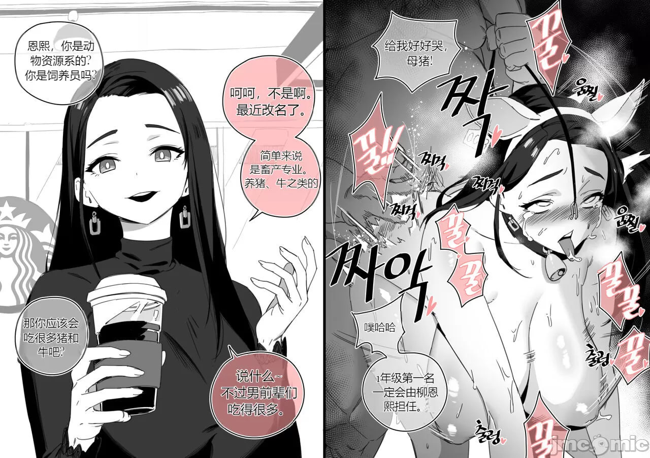 收藏 第28页