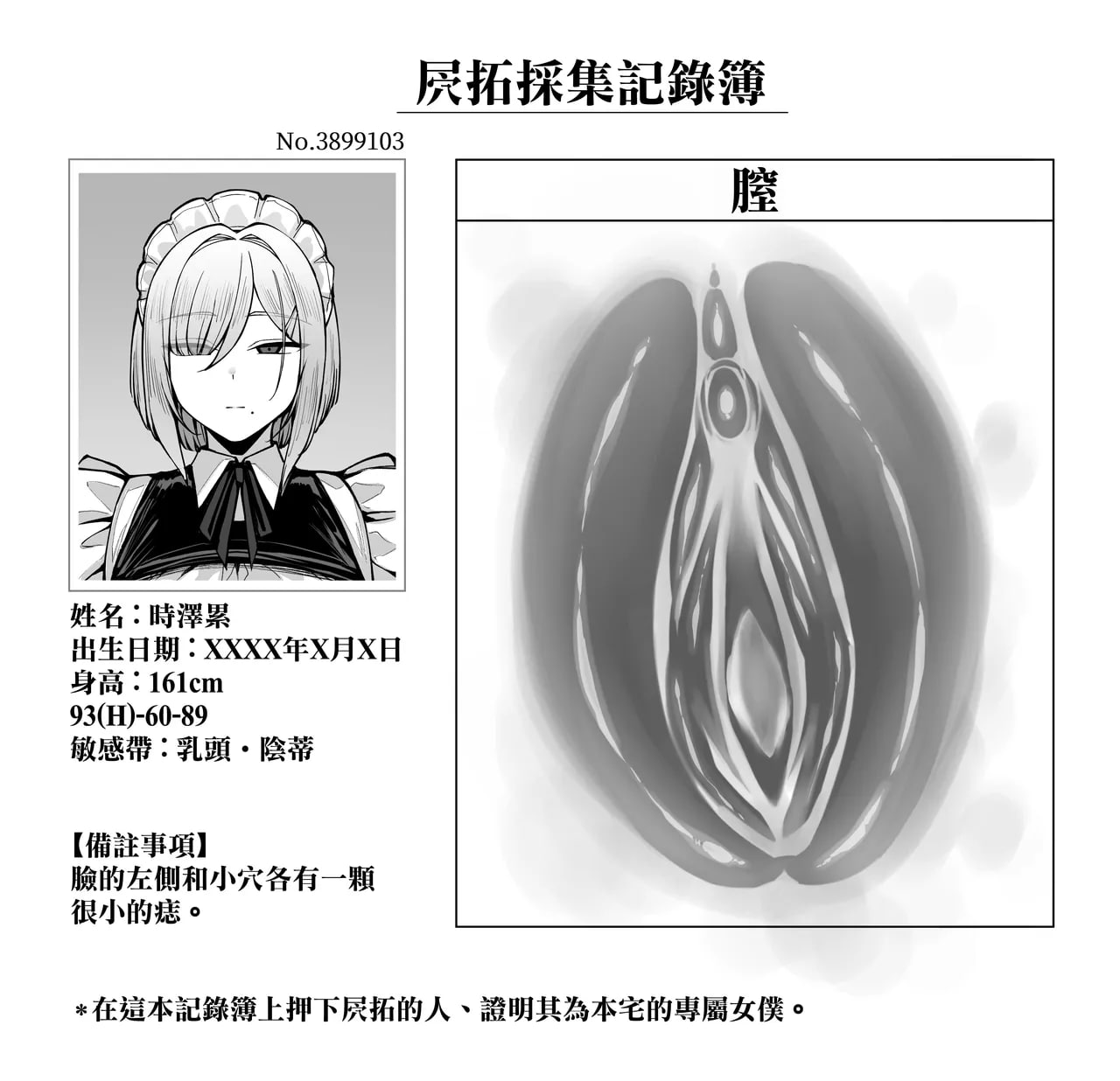 女仆小姐系列 第17页