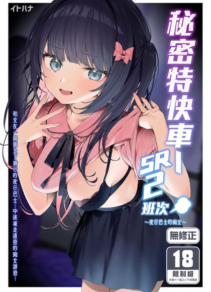 秘密特快車—SR2班次～夜行巴士的痴女～