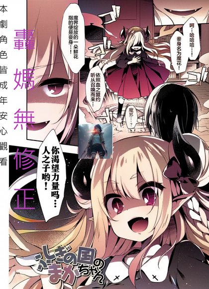 不可思议国度的魔花酱