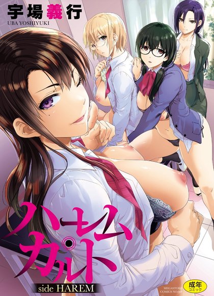 后宫教派 side 后宫