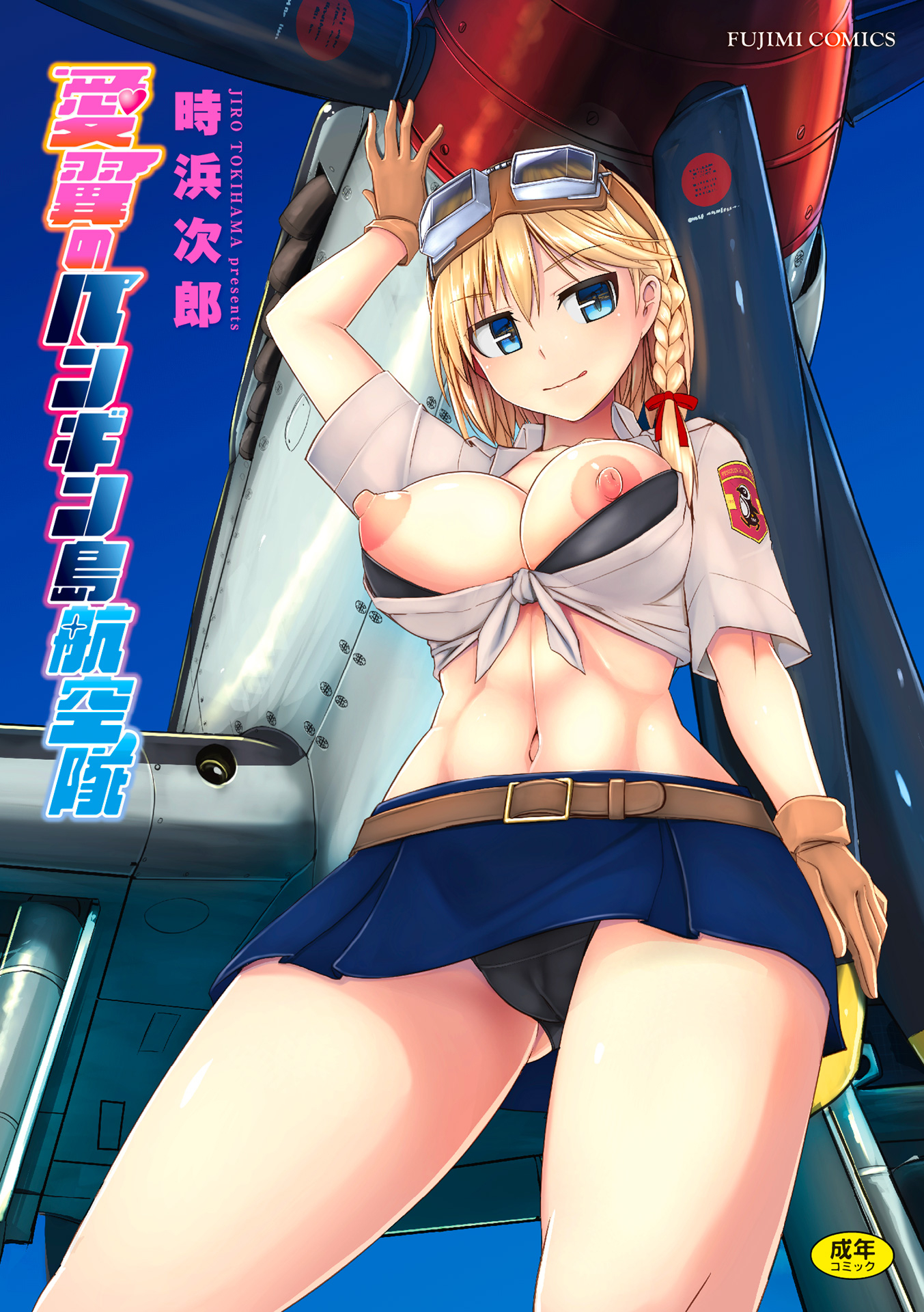 爱翼的企鹅岛航空队