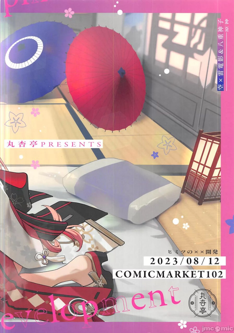 秘密的XX开发 第27页