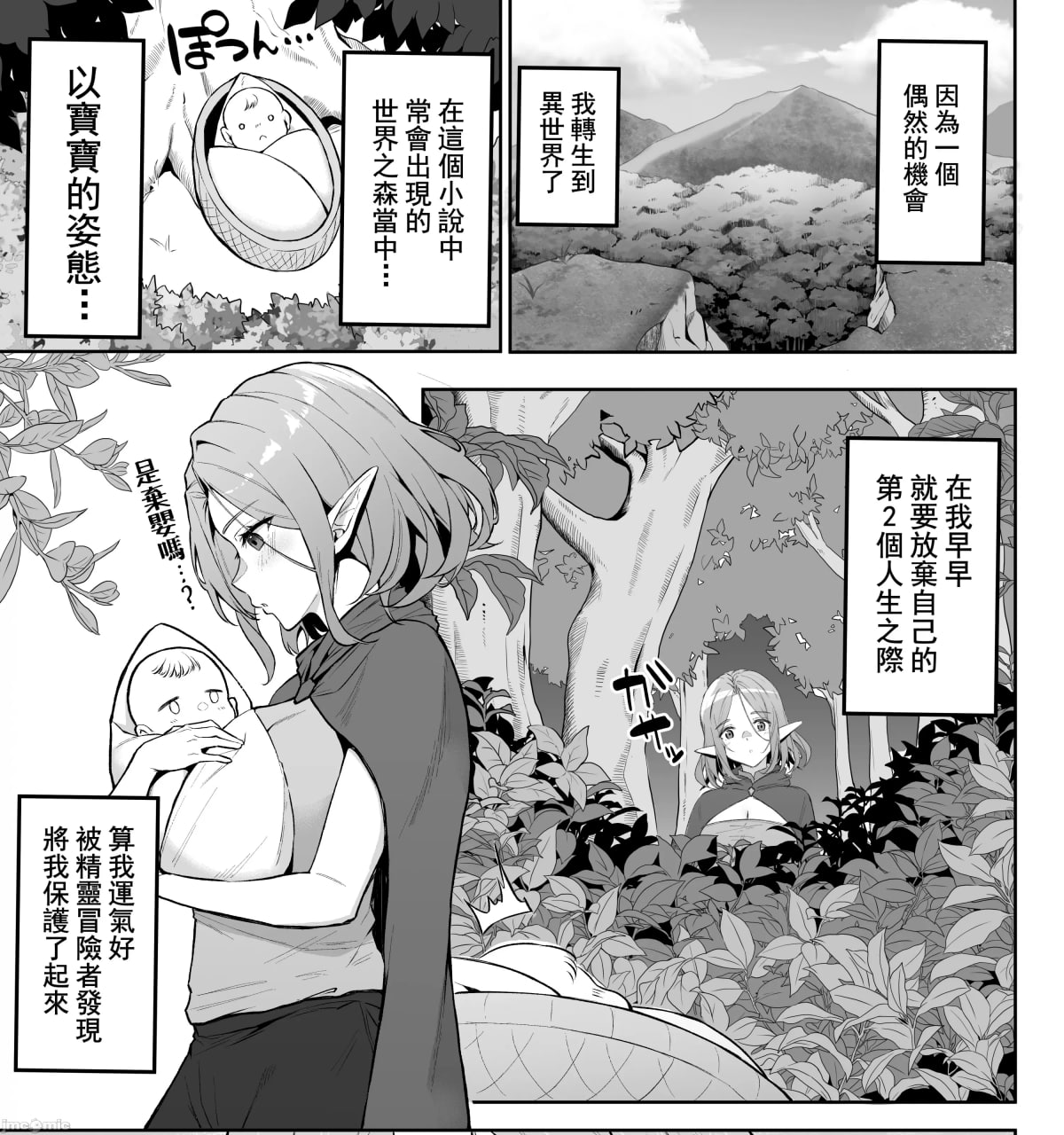 转生后被过保护的精灵捡到了 第12页