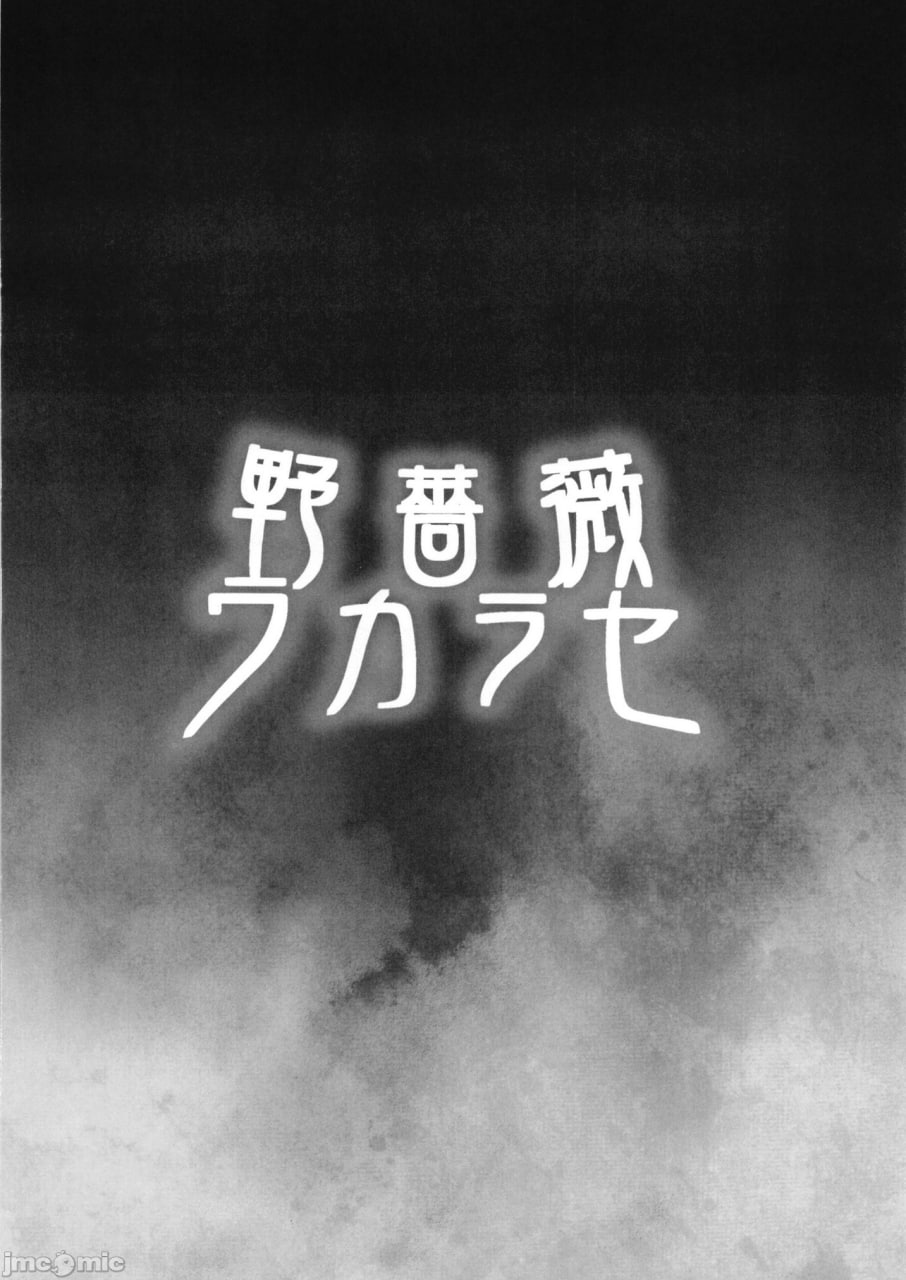 野蔷薇教训 第18页