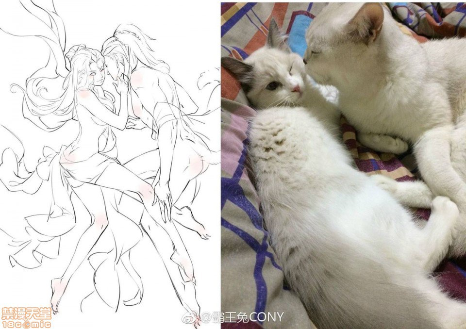 霸王兔cony 第167页