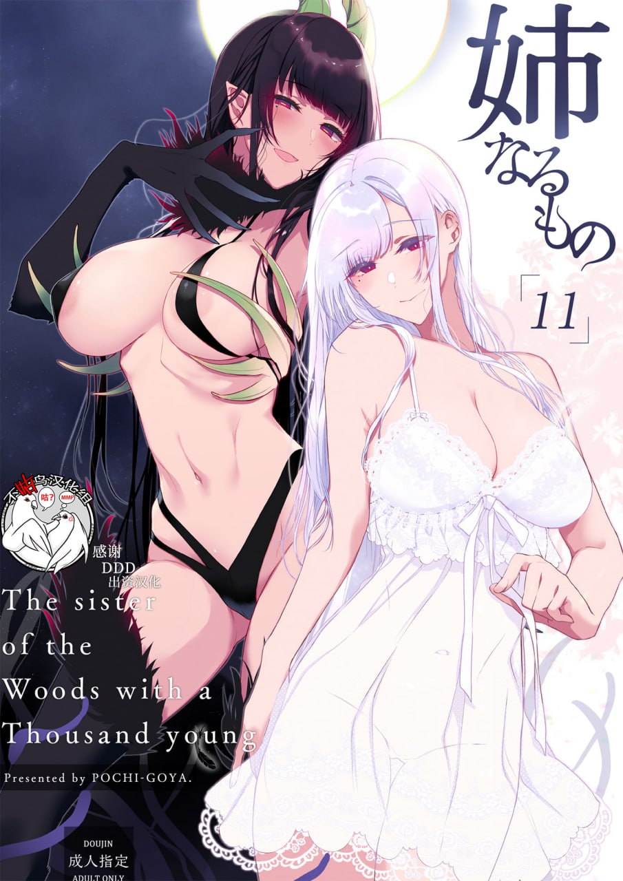 名为姐姐的东西 第1页