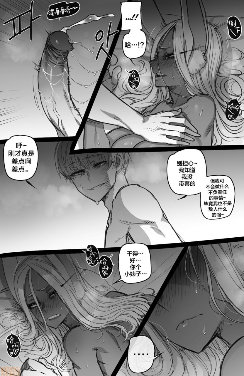 米尔科：个人兼容性 第17页