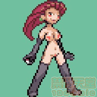 神奇宝贝图集 第75页