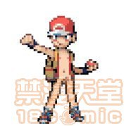 神奇宝贝图集 第103页