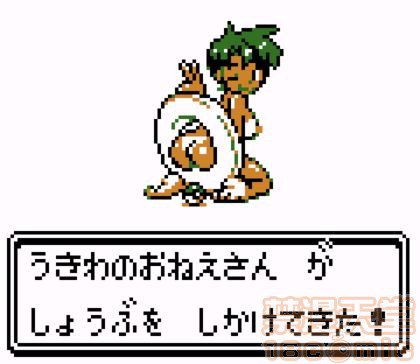 神奇宝贝图集 第146页