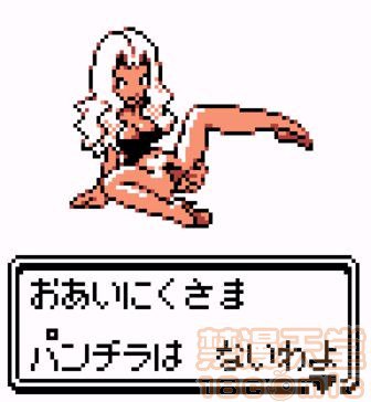 神奇宝贝图集 第162页