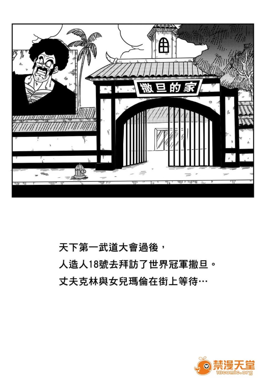 18号与神秘先生 性的战斗 第2页