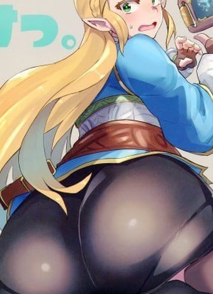 塞尔达传说 旷野之息