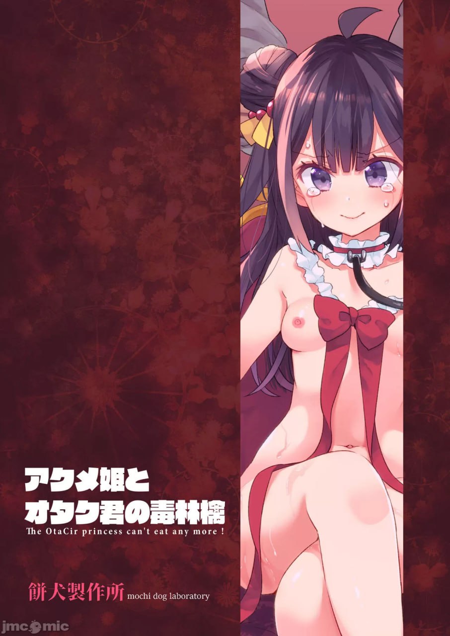 高潮公主与宅男君的毒苹果 第110页