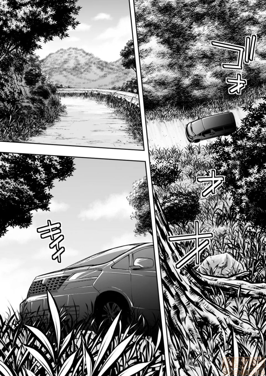 吃饭兼炒饭旅行者 第52页