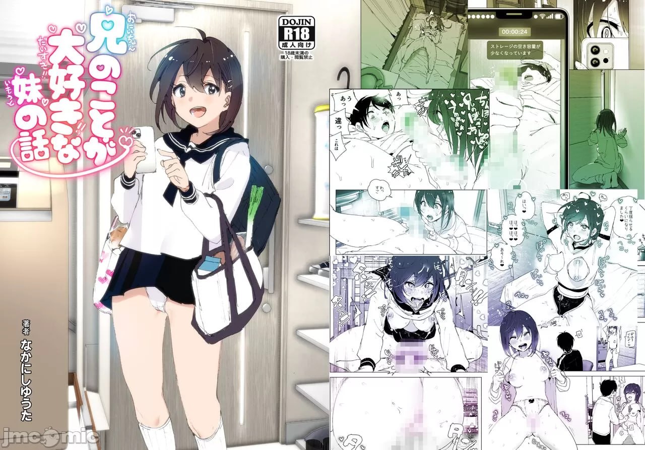 超级喜欢哥哥的妹妹的故事 第2页